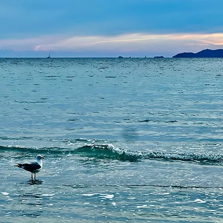 Mobil-home Cosy 6 P Climatise A A 200 M De La Dans 4 Etoiles Calme Et Familial Кемпинг