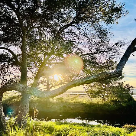 Кемпинг Mobil-home Cosy 6 P Climatise A A 200 M De La Dans 4 Etoiles Calme Et Familial